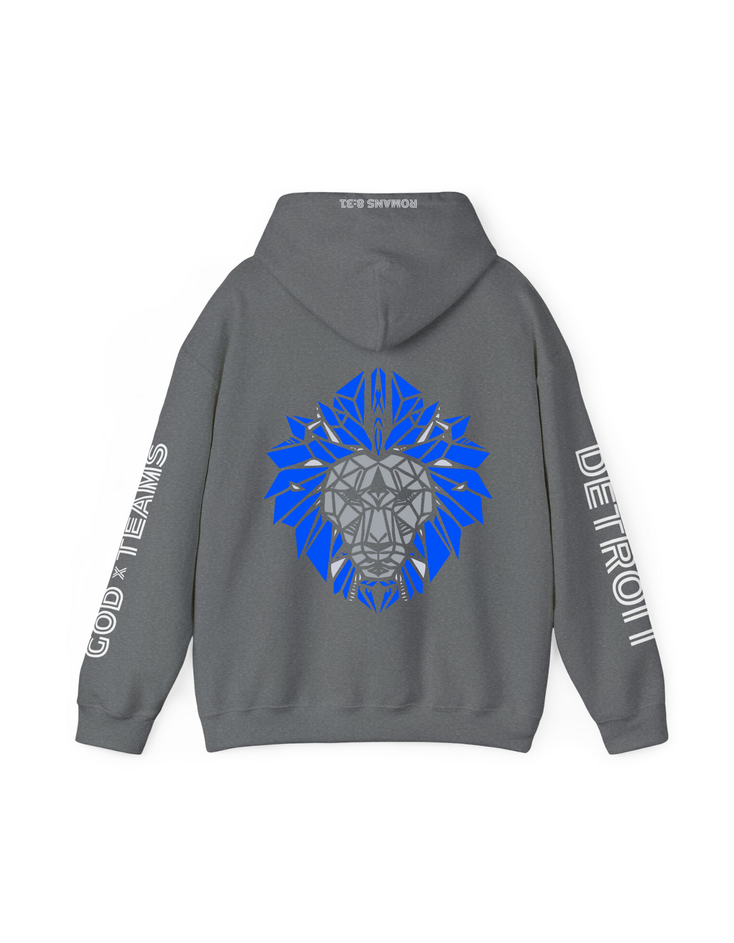 GOD x Teams Detroit Lions Silver Metallic Premium Hoodie 3D Print