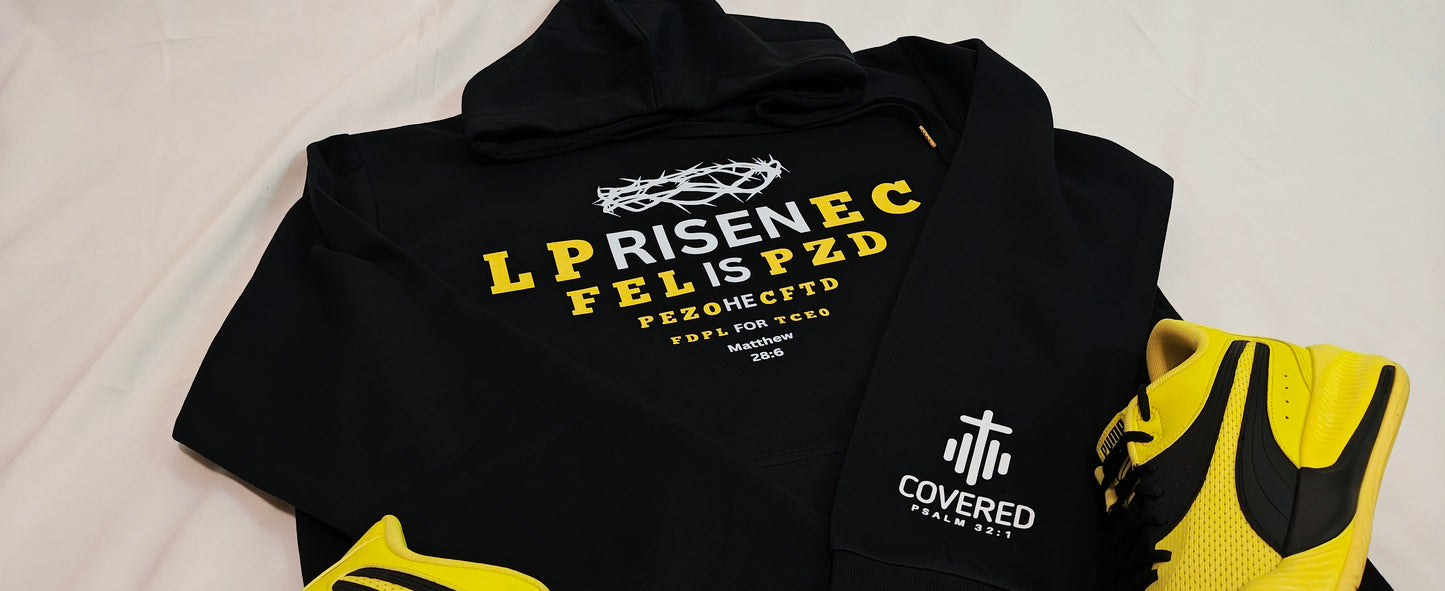 Matthew 28:6 "For He is Risen" Eye-Chart Hoodie